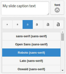 Caption font controls